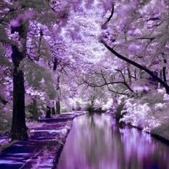 Meet your Posher, Becca - Picture 1 of 1